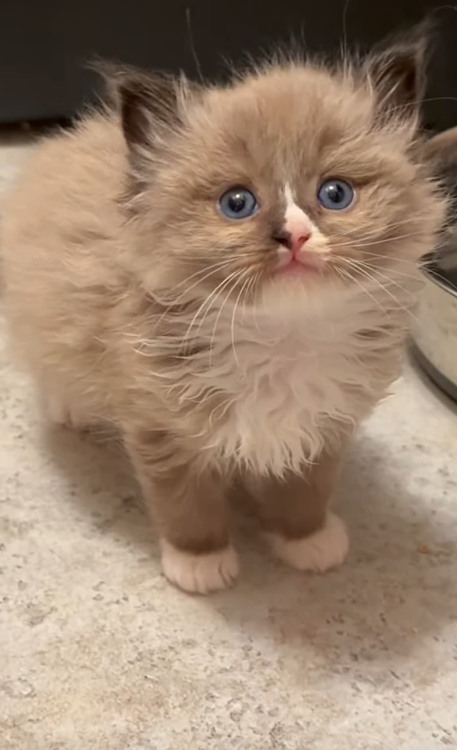 Chloe
