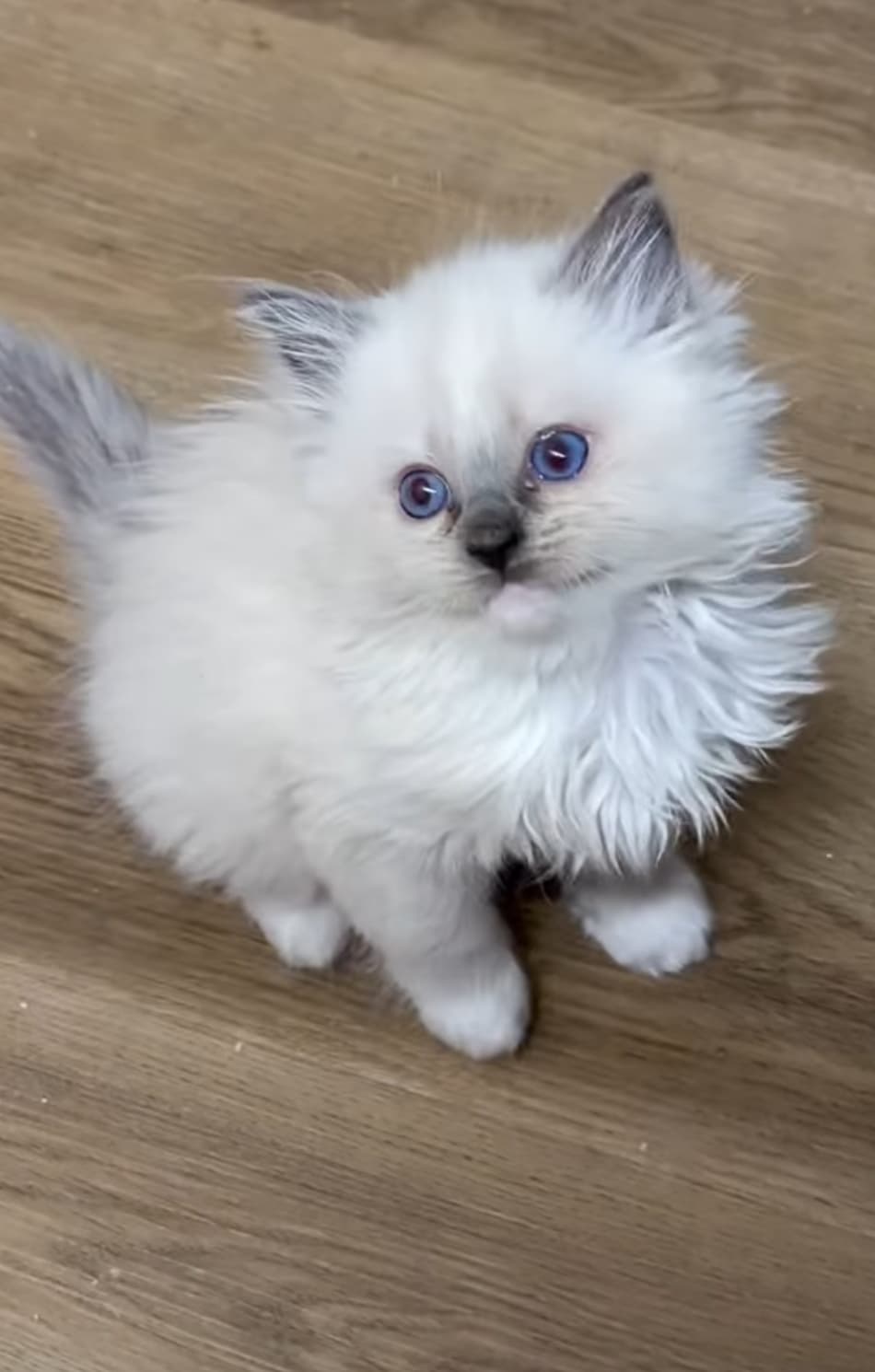 Max